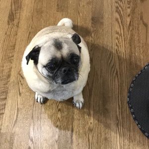 Meet your Posher, Victoria